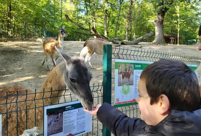 Szelesut_20251003_Vadaspark_07
