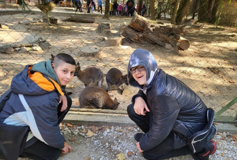Szelesut_20251003_Vadaspark_08