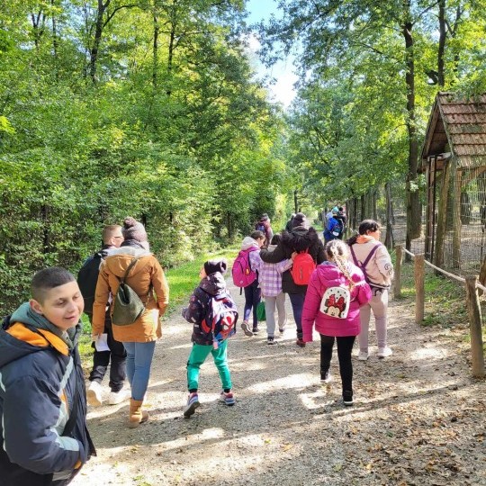 Szelesut_20251003_Vadaspark_13